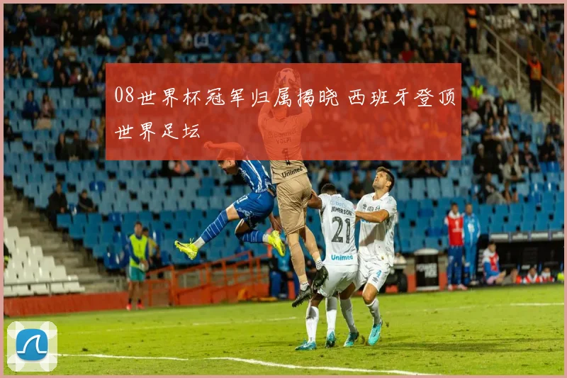 08世界杯冠军归属揭晓 西班牙登顶世界足坛